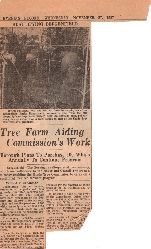 Tree Farm Aiding Commissions Work Bergen Evening Record newspaper clipping Nov 27 1957.jpg