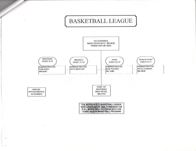 Organizational structure of recreational leagues service clubs and various organizations in Bergenfield pamphlet Nov 1997 8.jpg