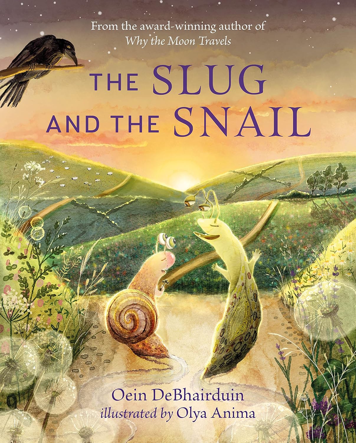 Cover for The Slug and the Snail by Oein DeBhairduin and Olya Anima