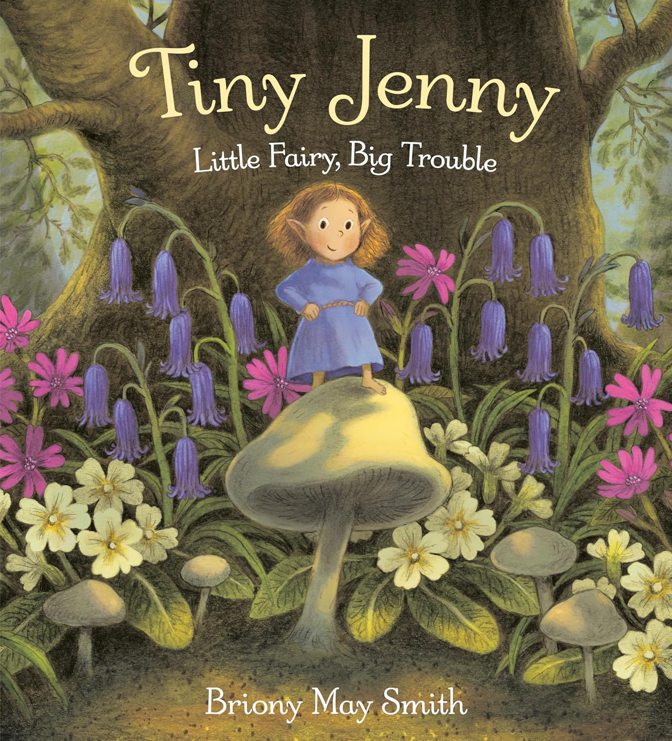 Cover for Tiny Jenny by Briony May Smith